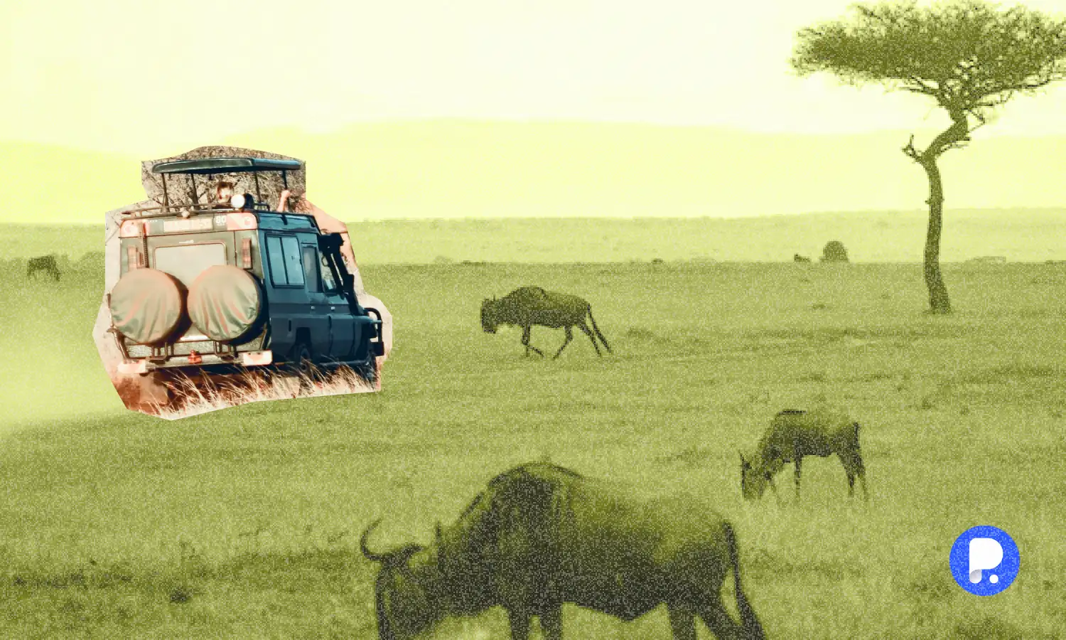 How to Find the Best Keywords for Kindle Publishing Optimize Your Book